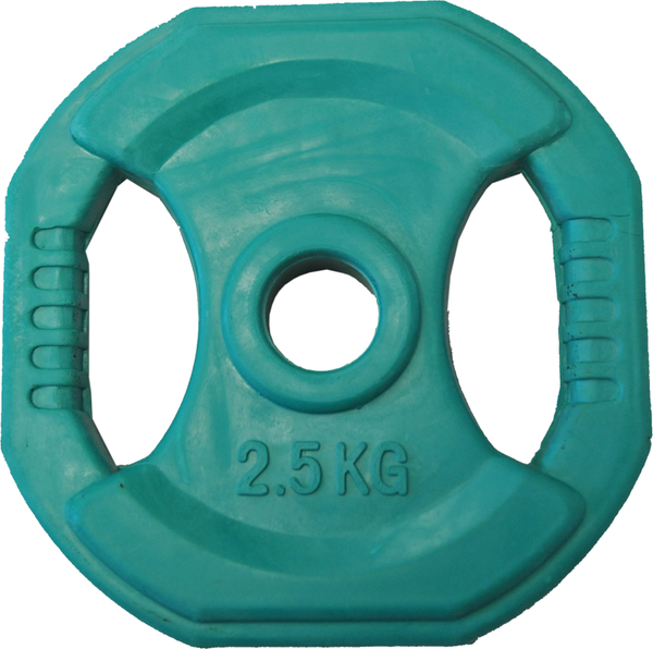 2.5kg Rubber Coated Body Bump Weight Plate - iworkout.com.au