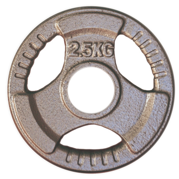 2.5kg Olympic Size Cast Iron Weight Plate - iworkout.com.au