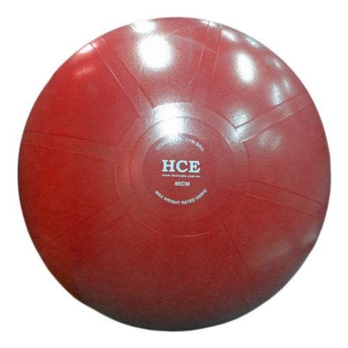 55cm Commercial Gym Ball / Swiss Ball with Pump - iworkout.com.au