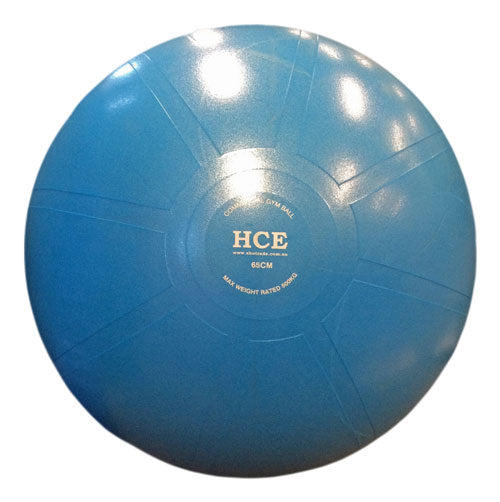 65cm Commercial Gym Ball / Swiss Ball with Pump - iworkout.com.au