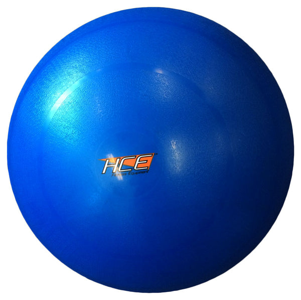 65cm Gym Ball / Swiss Ball with Pump - iworkout.com.au